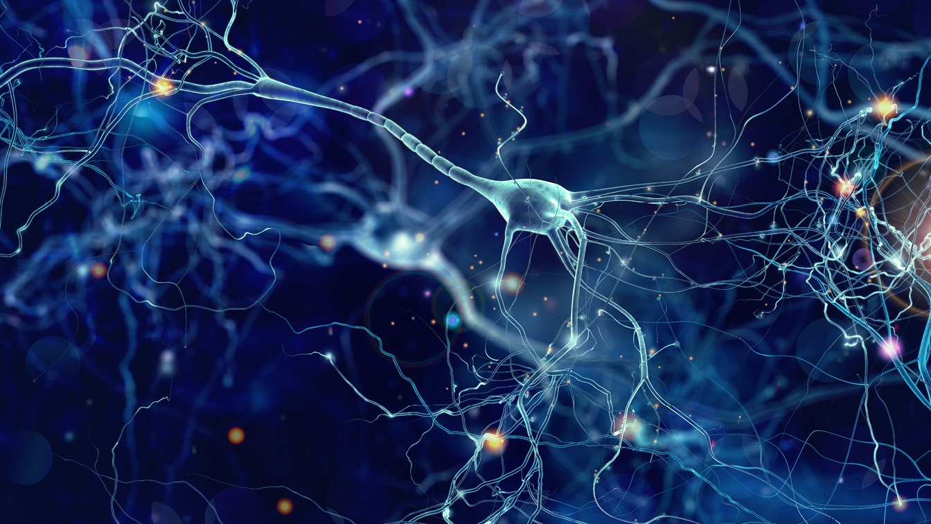 Thomas Range: Kommt die Künstliche Superintelligenz?